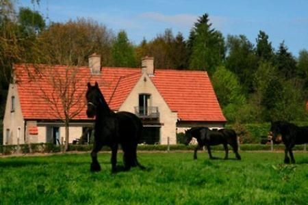 B&B Heerlijkhyd Hertsberge Zewnętrze zdjęcie