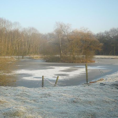 B&B Heerlijkhyd Hertsberge Zewnętrze zdjęcie