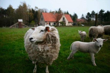 B&B Heerlijkhyd Hertsberge Zewnętrze zdjęcie